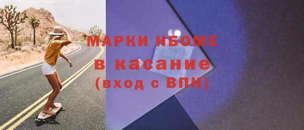 ГАЛЛЮЦИНОГЕННЫЕ ГРИБЫ Дмитриев