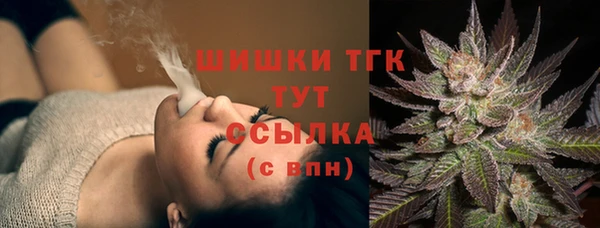 ГАЛЛЮЦИНОГЕННЫЕ ГРИБЫ Дмитриев