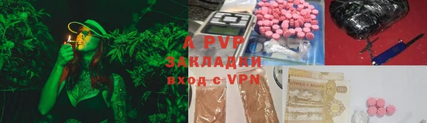 a pvp Ельня
