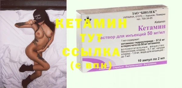 ГАЛЛЮЦИНОГЕННЫЕ ГРИБЫ Дмитриев