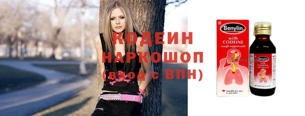 a pvp Ельня
