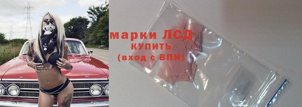 ГАЛЛЮЦИНОГЕННЫЕ ГРИБЫ Елизово