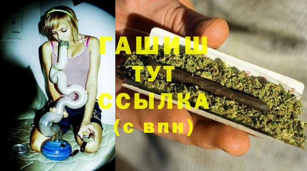 ГАЛЛЮЦИНОГЕННЫЕ ГРИБЫ Дмитриев