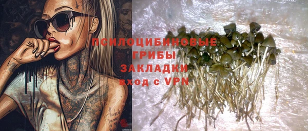 ГАЛЛЮЦИНОГЕННЫЕ ГРИБЫ Дмитриев