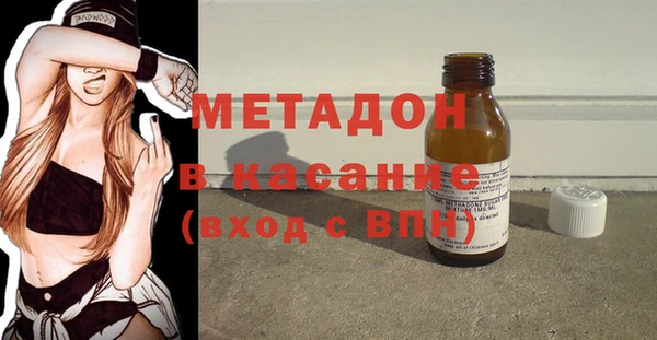 ГАЛЛЮЦИНОГЕННЫЕ ГРИБЫ Дмитриев
