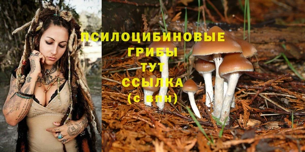 гашиш Дмитровск